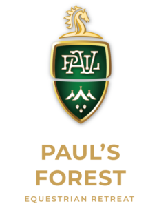 paul-s-forest