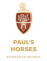 Pauls Horses